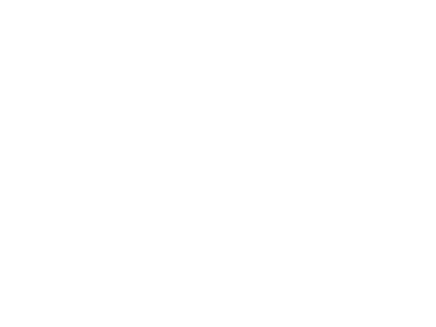 Hopkins Action, home
